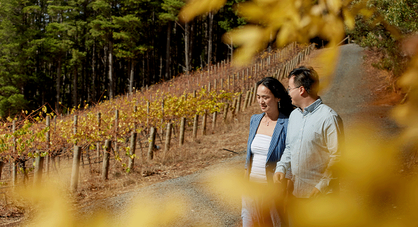 Mt Lofty Ranges Vineyard